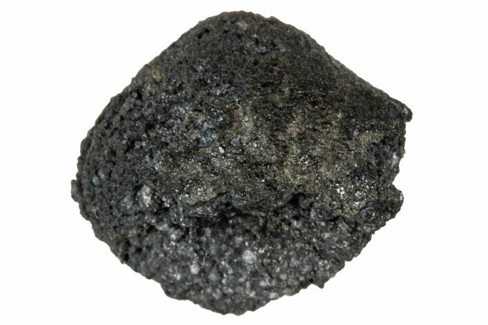 Ait Saoun EH/EH Chondrite Meteorite ( g) - Fresh Fall! #304218